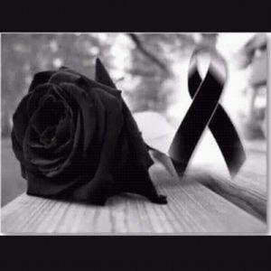 Meet your Posher, Ismael y'paula